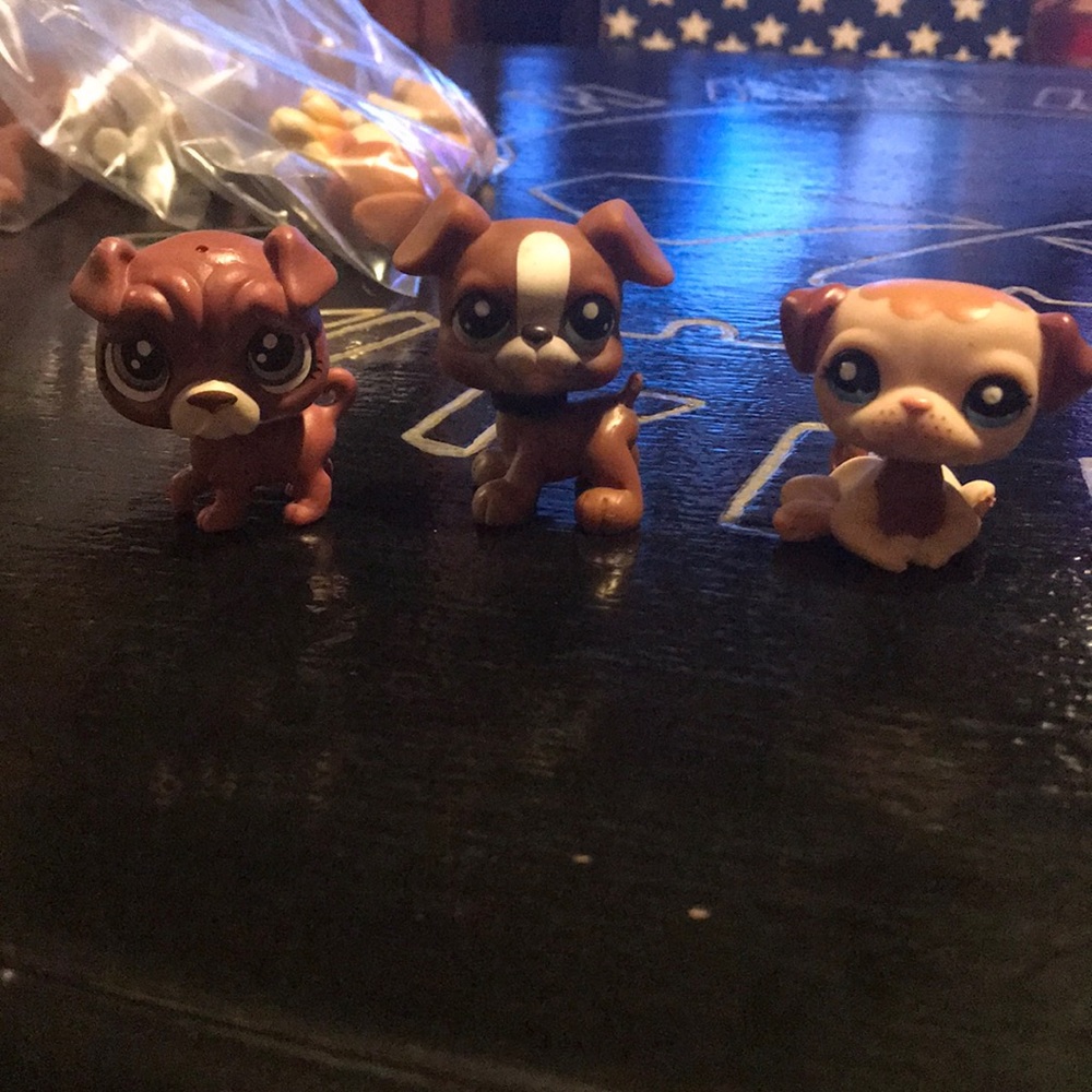 Littlest Pet Shop